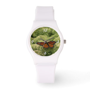 Montre Papillon Viceroy Belle photographie de la nature