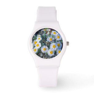 Montre Pâquerettes laineuses fleurs sauvages