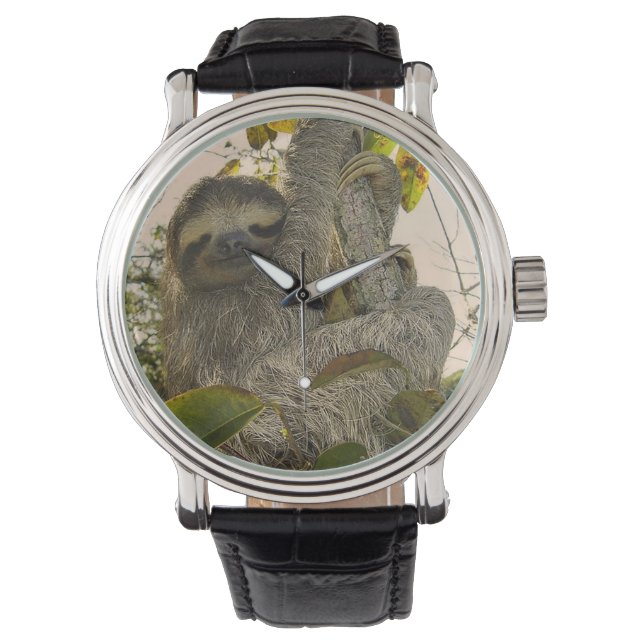 Montre paresseux (devant)