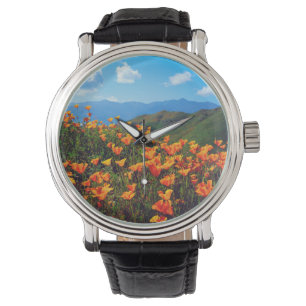 Montre Pavots de Californie couvrant un flanc de colline
