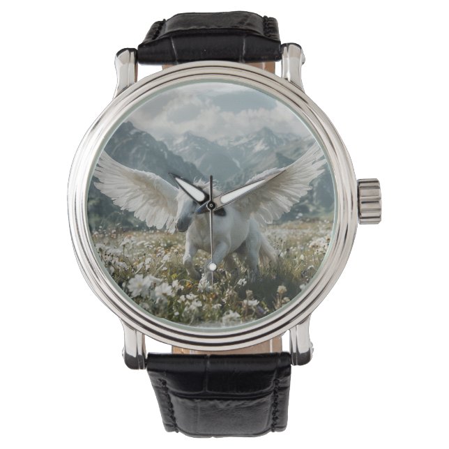 Montre Pegasus se prépare pour le décollage (devant)