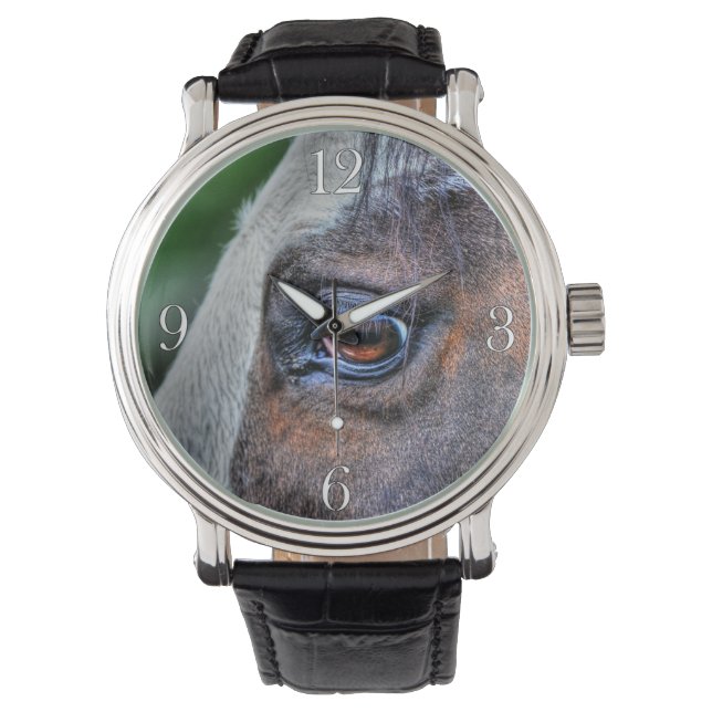 Montre Peindre Cheval Eye Equine Photo Portrait (devant)