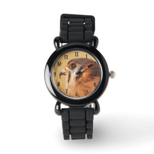 Montre Peinture américaine Kestrel - Art original pour oi