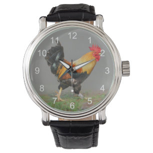Montre Peinture colorée sur le coq