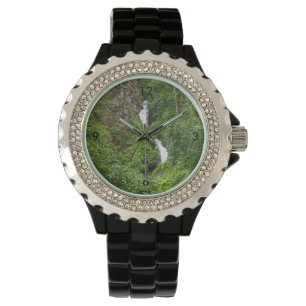 Montre Peinture de Thunderbird