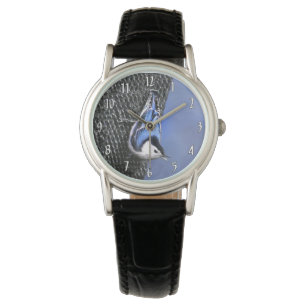 Montre Peinture Nuthatch à poitrine blanche Art original