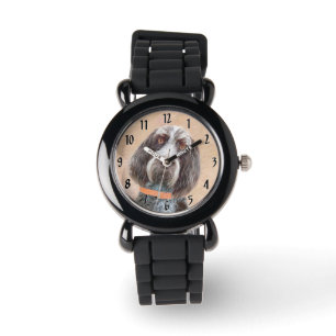 Montre Peinture Spinone Italiano - Belle Art Original Chi