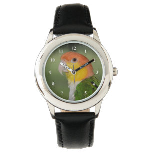 Montre Perroquet caïque à ventre blanc à l'extérieur