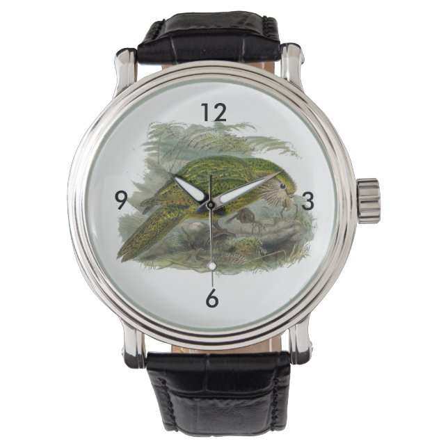 Montre Perroquet de Chouette verte Kakapo, Illustration d (devant)