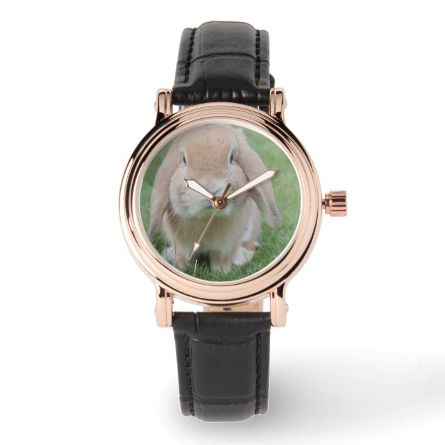 Montre photo de lapin grave (Recto)