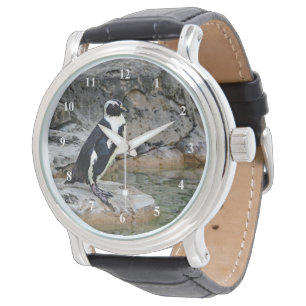 Montre Photo de manchot sauvage