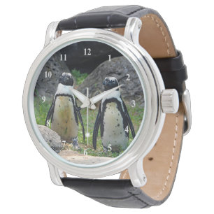 Montre Photo de paire de pingouins de la faune