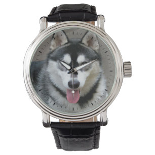 Montre Photographie de chien de Malamute d'Alaska