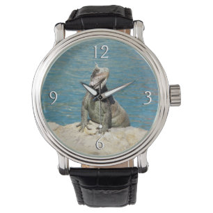 Montre Photographie de la faune tropicale Iguana à St. Th