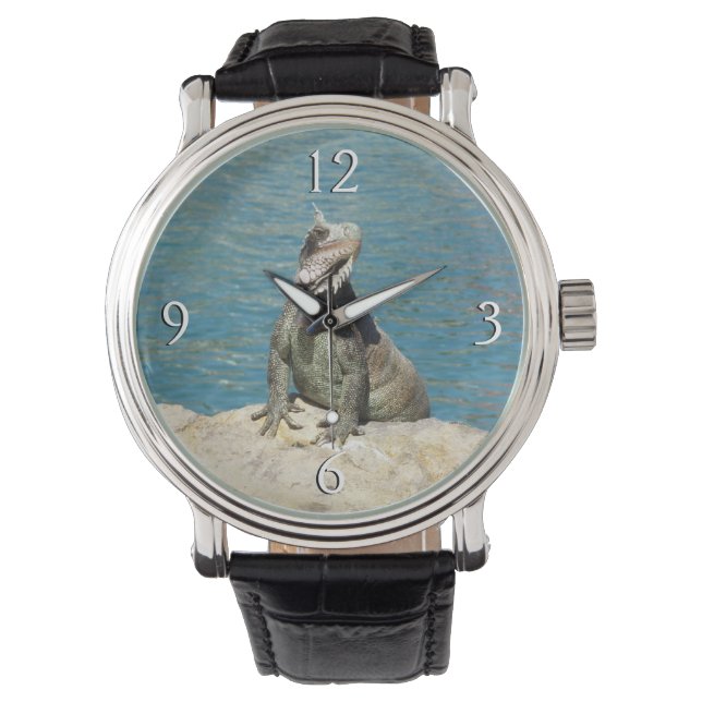 Montre Photographie de la faune tropicale Iguana à St. Th (devant)