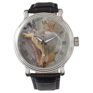 Montre Photographie d'écureuil