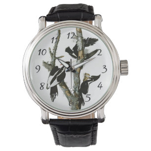 Montre Pic à bec d'Aububon dans les cendres