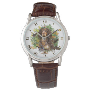 Montre Picardy Spaniel, Épagneul Picard