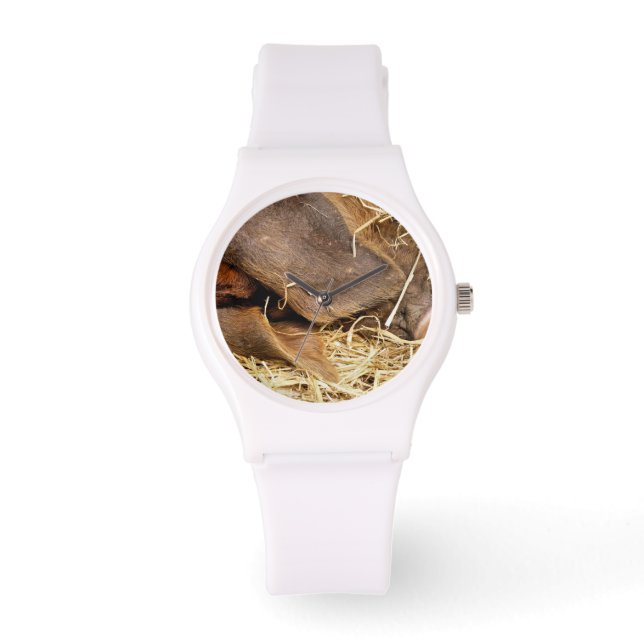 MONTRE PIÈCES (Recto)