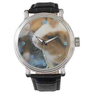 Montre Piggy