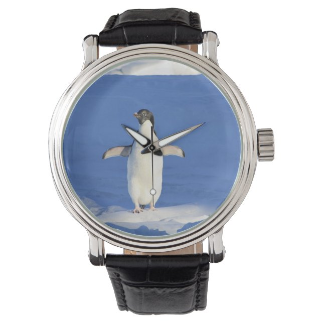 Montre Pingouin drôle sur la glace photo (devant)