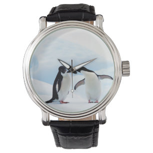 Montre Pingouins d'Adelie