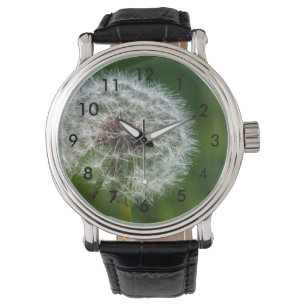Montre Pissenlit à la lumière