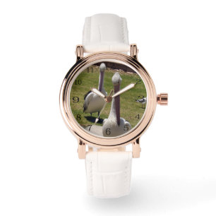 Montre Plumes Ruffées : Pélicans Avec Une Attitude,