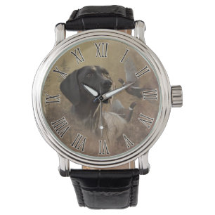 Montre Pointeur à poils courts allemand