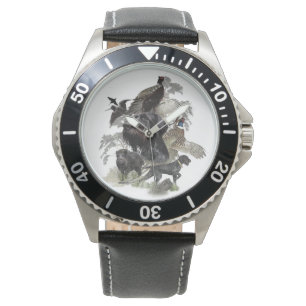 Montre Pointeur À poils durs allemand