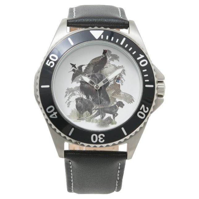 Montre Pointeur À poils durs allemand (devant)