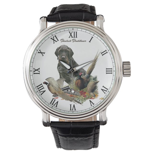 Montre Pointeur À poils durs allemand (devant)