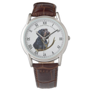 Montre Pointeur À poils durs allemand