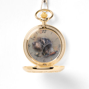Montre Pointeur À poils durs allemand