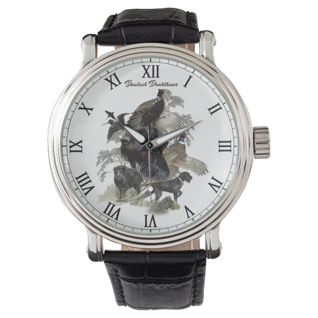 Montre Pointeur À poils durs allemand (devant)