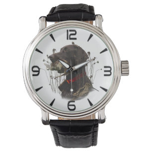 Montre Pointeurs allemands à poils courts