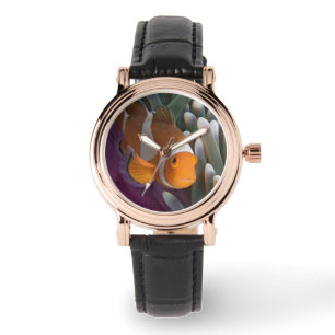 Montre Poisson clown occidental