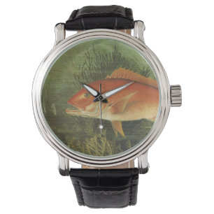 Montre Poisson de Snapper Rouge dans l'océan, Vintage Mar