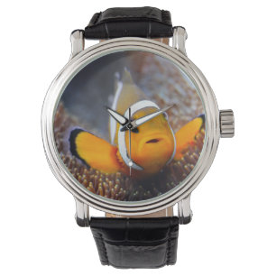 Montre Poissons tropicaux de récif - Clownfish