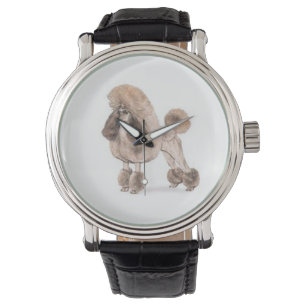 Montre Poodle — Afficher le manteau