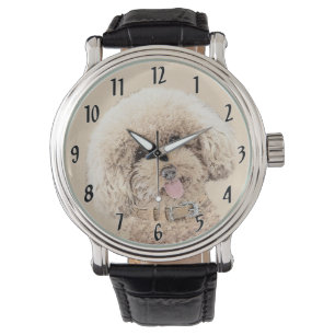 Montre Poodle Miniature Toy Apricot Crème Chien Brown Art