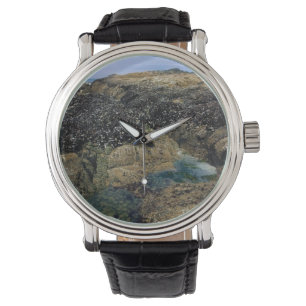 Montre Pools à marée à Bob Creek, OU