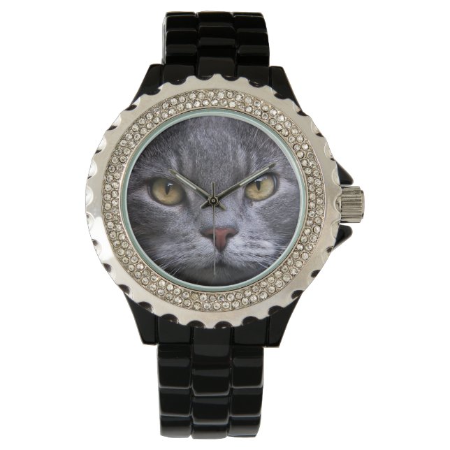 Montre Portrait de chat gris (devant)
