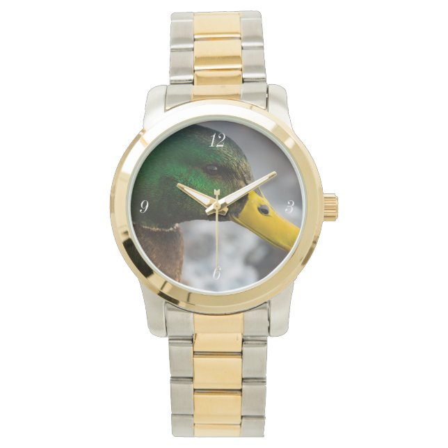 Montre Portrait de Male Mallard (devant)