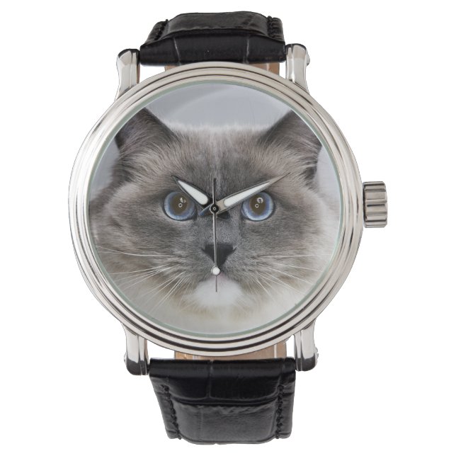 Montre Portrait de Ragdoll (devant)