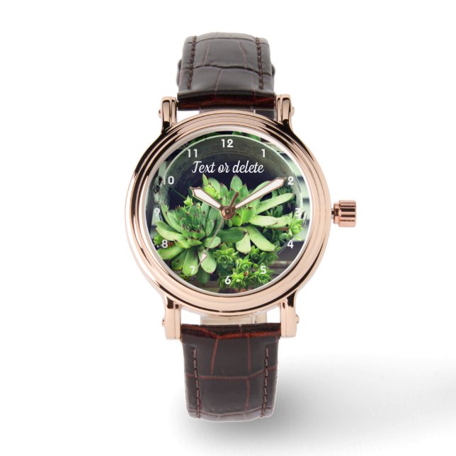Montre Poules Et Poussins Succulent Dans Le Seau Personna (Recto)
