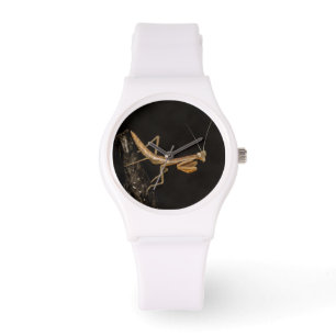 Montre Prière Mantis Belle Et Déplaisante Insecte Art