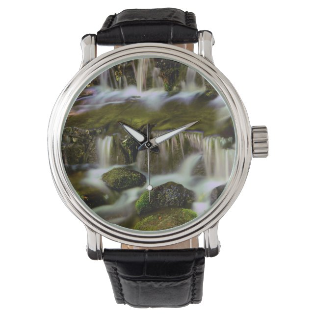 Montre Printemps des fougères, Parc national du Yosemite, (devant)