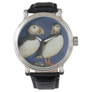 Montre Puffin de l'Atlantique