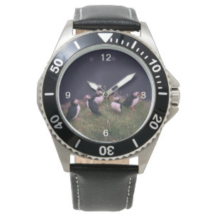 Montre Puffins de l'Atlantique